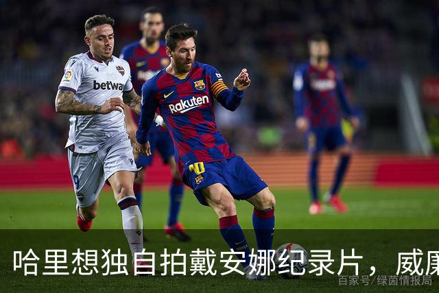 哈里想独自拍戴安娜纪录片，威廉那边传出了"强烈不满"