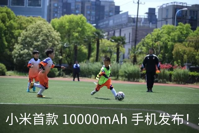 小米首款 10000mAh 手机发布！这价格把我看傻了...