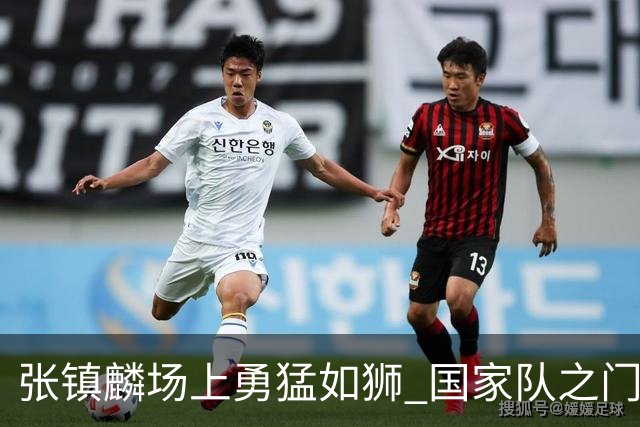 张镇麟场上勇猛如狮 国家队之门仍开着吗？