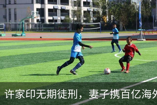 许家印无期徒刑，妻子携百亿海外逍遥，此前为保财产技术性离婚